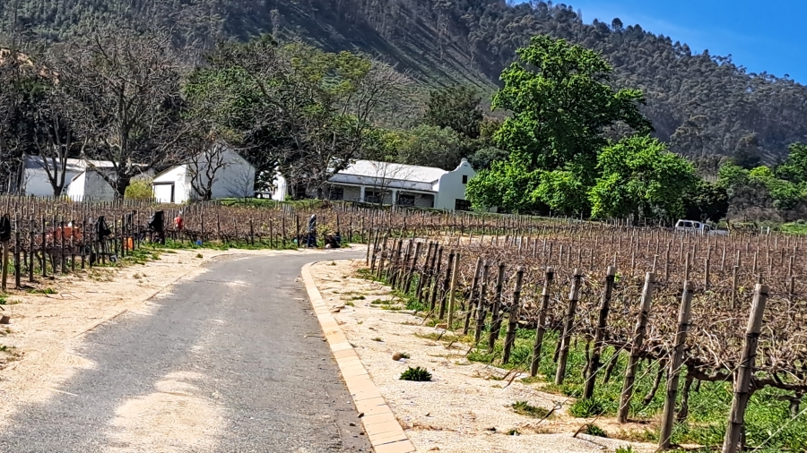 3 Bedroom Property for Sale in Wellington Rural Western Cape